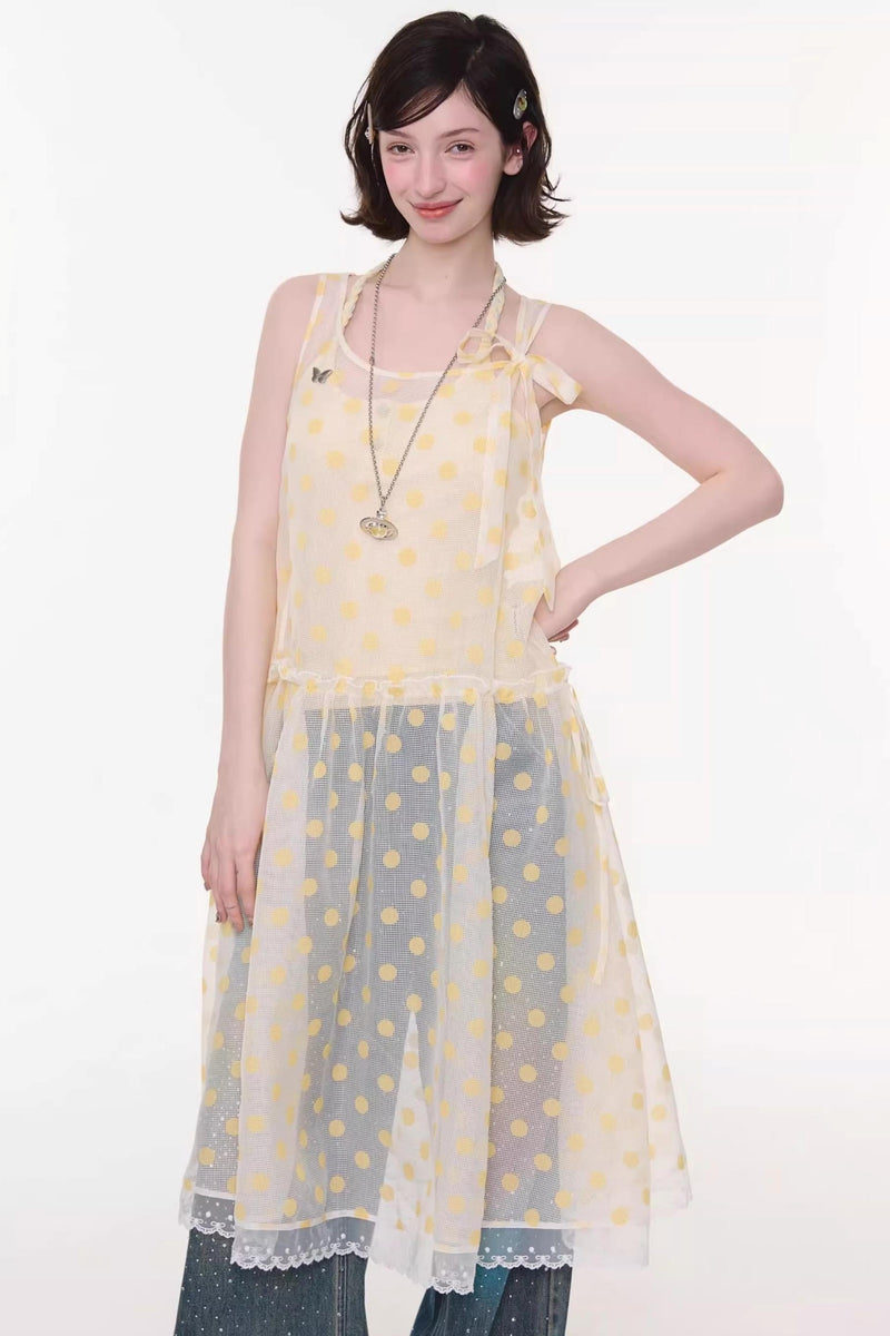 Sweet Polka Dot Mesh Dress
