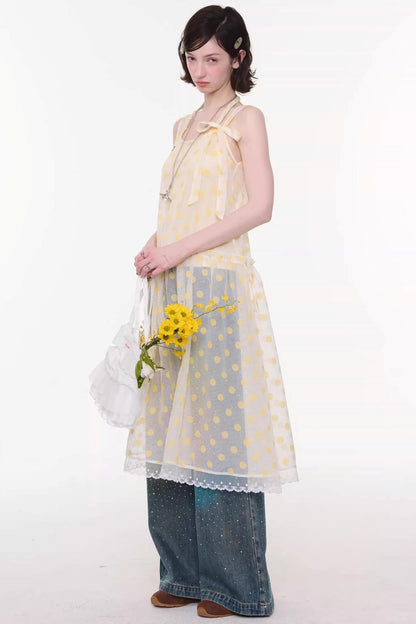 Sweet Polka Dot Mesh Dress