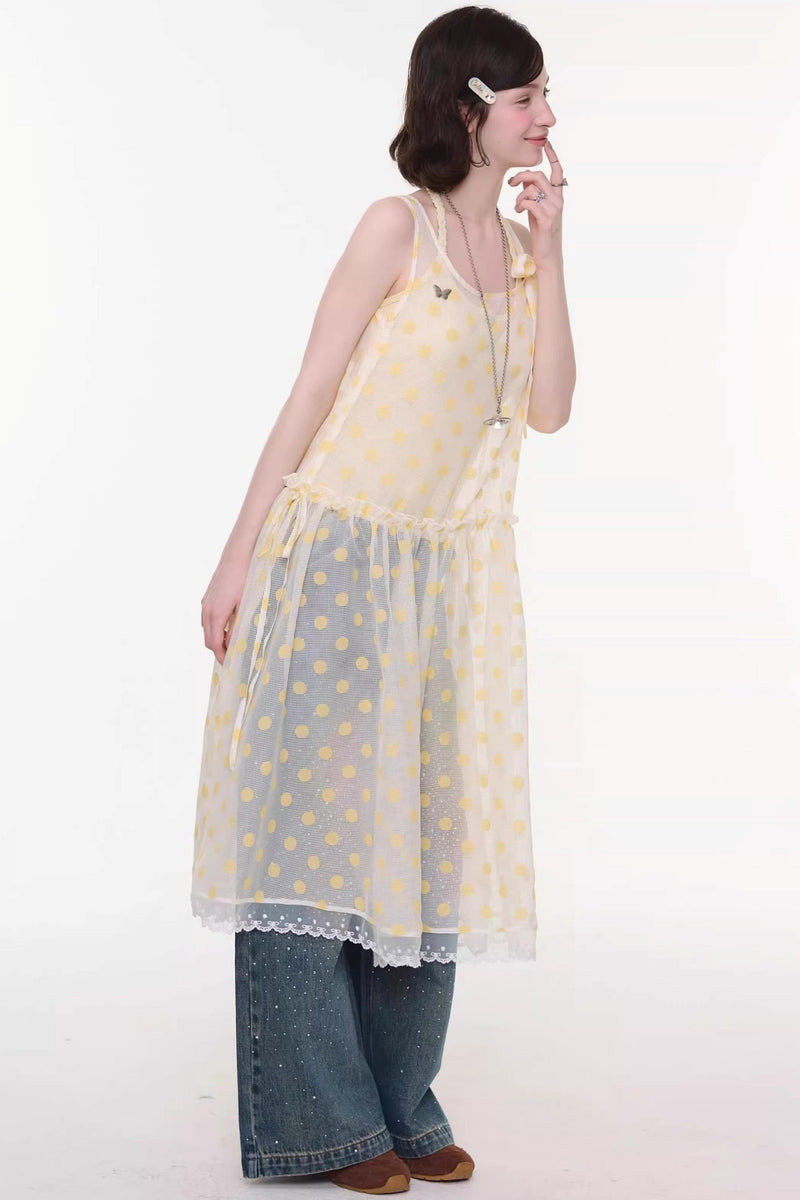 Sweet Polka Dot Mesh Dress