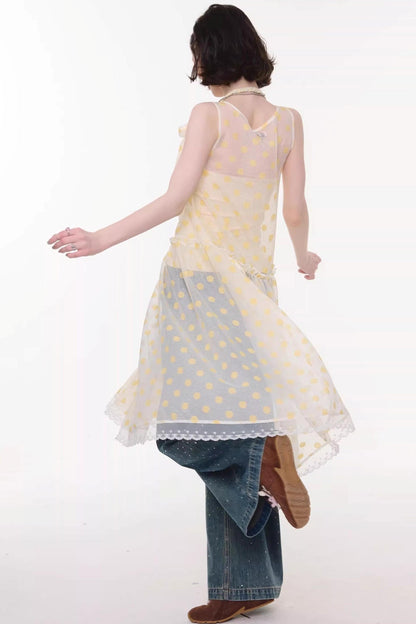 Sweet Polka Dot Mesh Dress