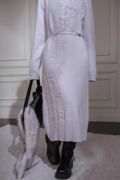 Turtleneck Knit Dress