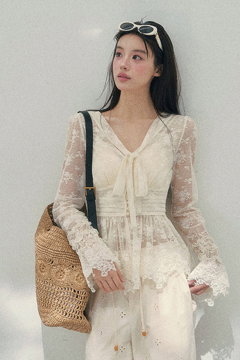 Lace Dream Sheer Top
