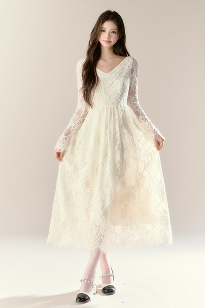 Lace Story Dress