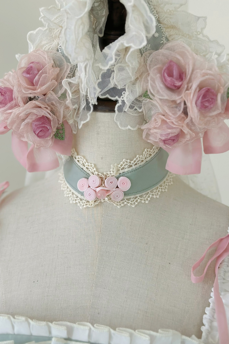 Sweet Princess Dress + Train + Veil + Accessories