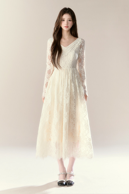 Lace Story Dress