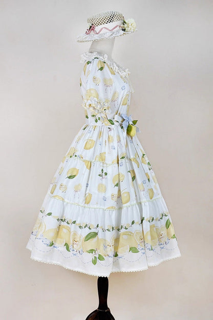 Vintage Style Dress with a Modern Fit