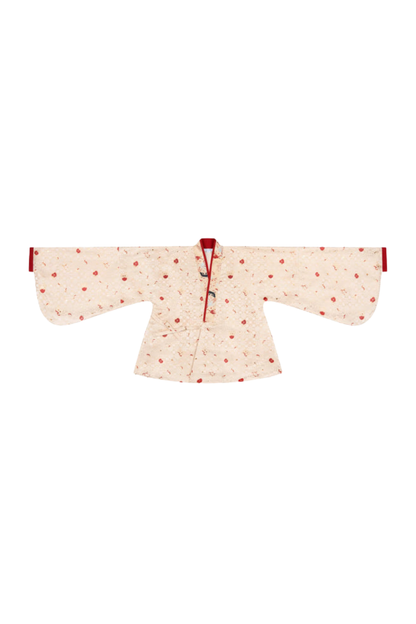 Apple Chinese-style Dress + Skirt + Overskirt + Brooch + Shawl