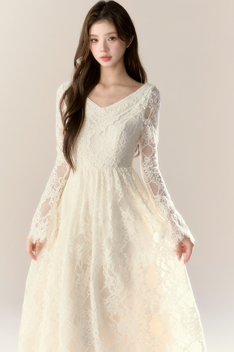 Lace Story Dress