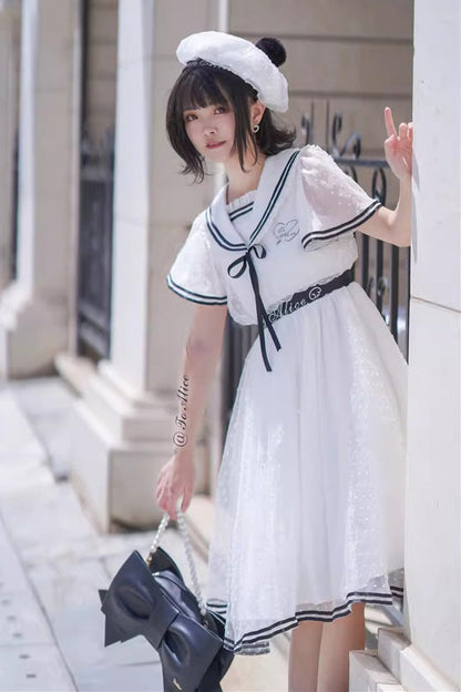 Sophisticated Dress with a Clean Classic Look