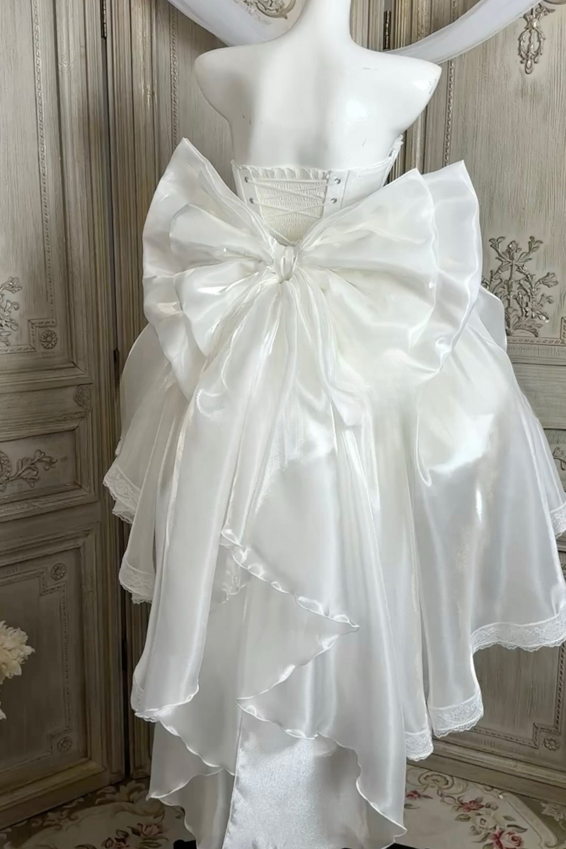 Haute Couture Moonlight Little Swan Ballet Set