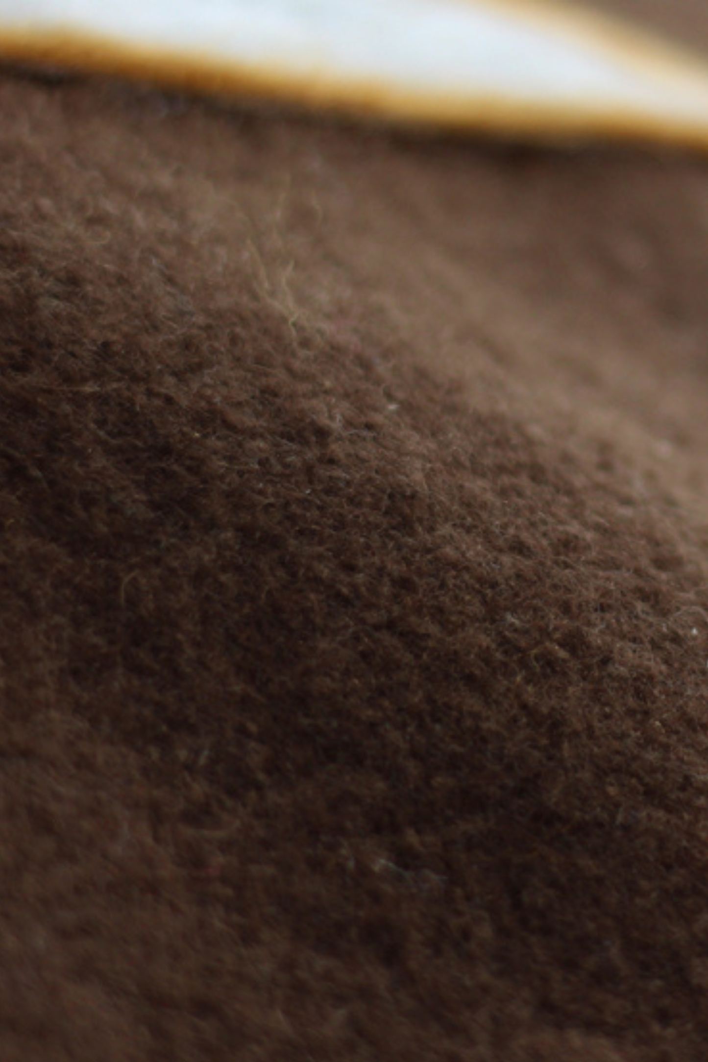Felt Mushroom Beret