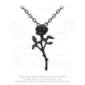 The Romance of the Black Rose Pendant by Alchemy Gothic