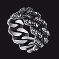 Stainless Steel Skull Chain Ring for