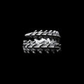 Spinebreaker Ring