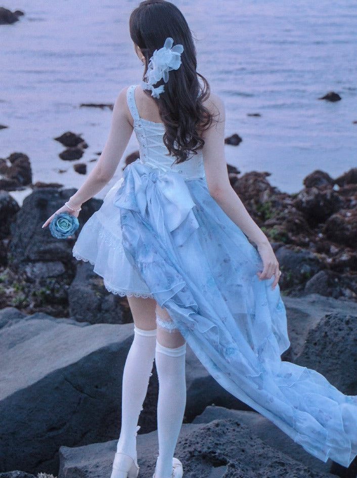 Ballet Style Fishbone Suspender Dress + Sheer Blue Skirt