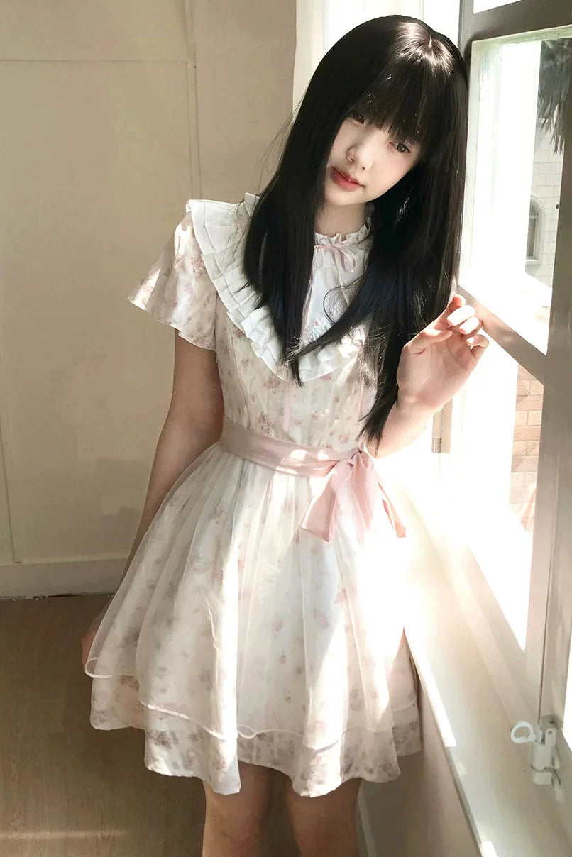 Misty Lace Dress
