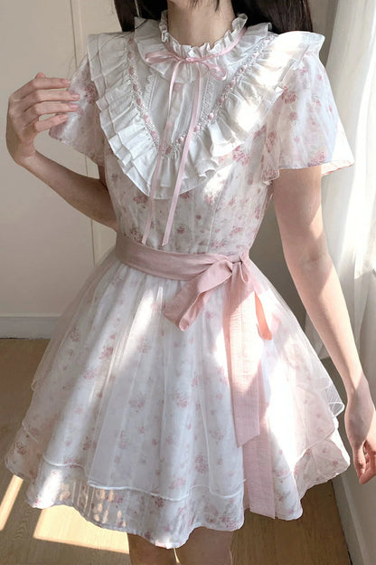 Misty Lace Dress