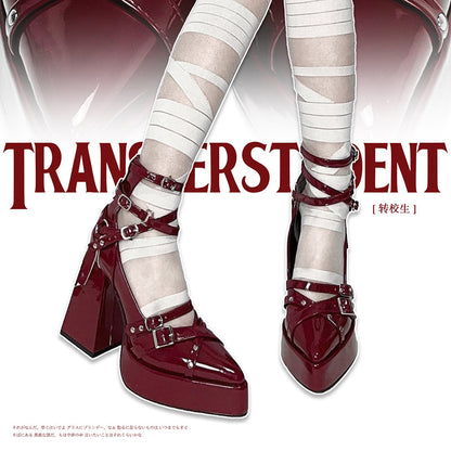 Gothic Pointed Toe Platform Heels