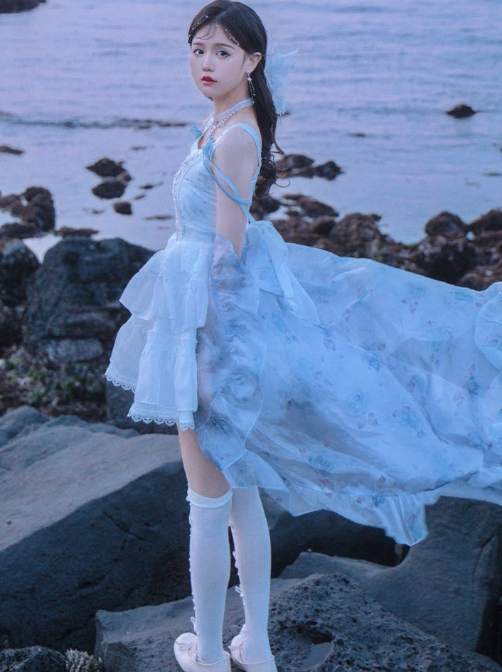 Ballet Style Fishbone Suspender Dress + Sheer Blue Skirt