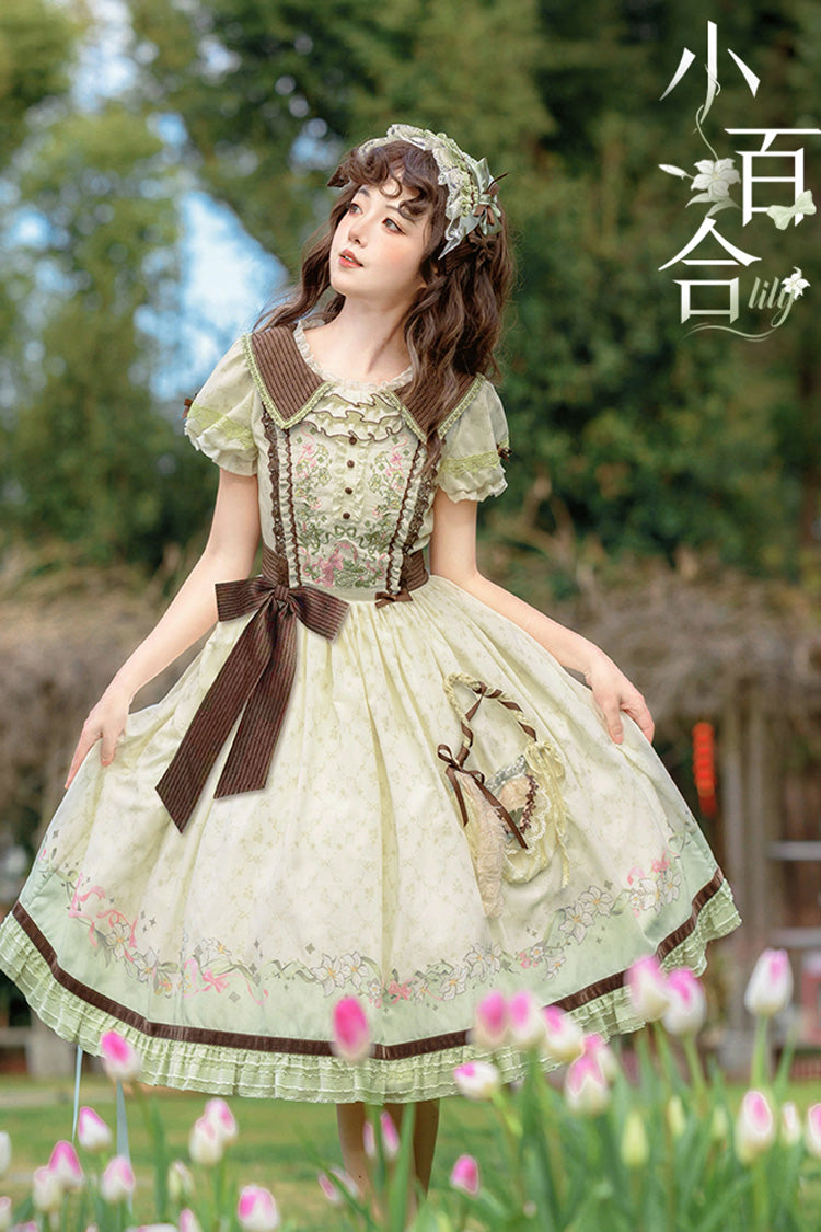 Elegantly Styled Dress for Everyday Wear