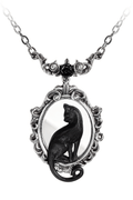 Black Cat Mirror Necklace With Ornate Frame
