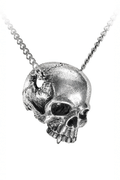 Skull Pendant Necklace With Temporal Perforation and Chain