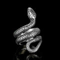 Winding Snake Steel Ring